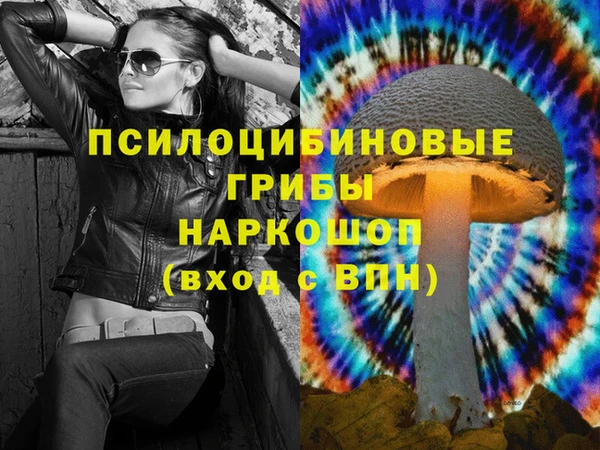 мет Туринск