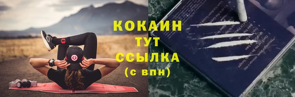 соль ск Тында