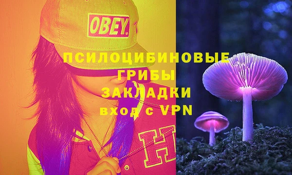 соль ск Тында